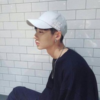 扑棱蛾子研究员